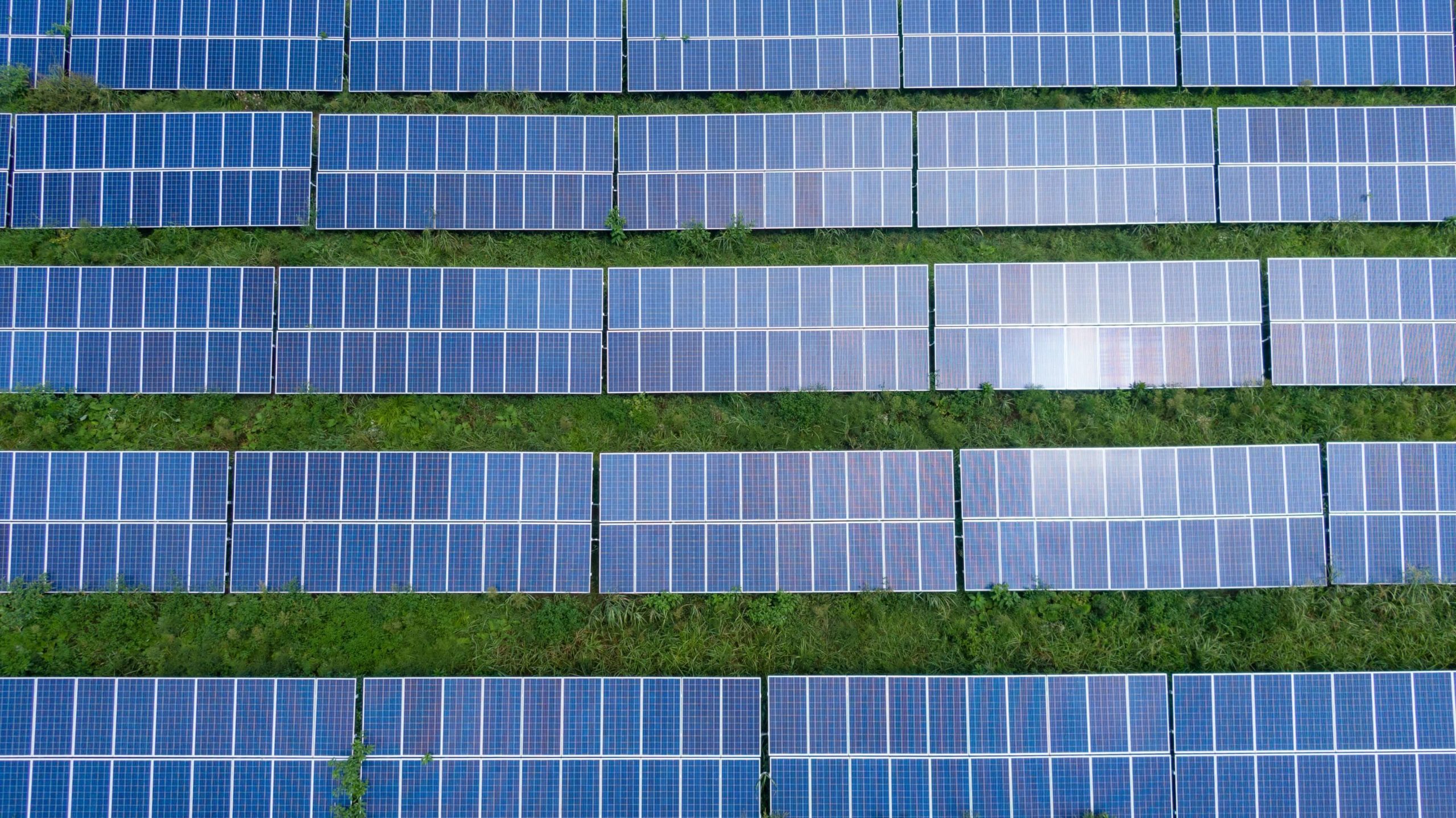 How Much Do Solar Panels Reduce Electricity Bills?